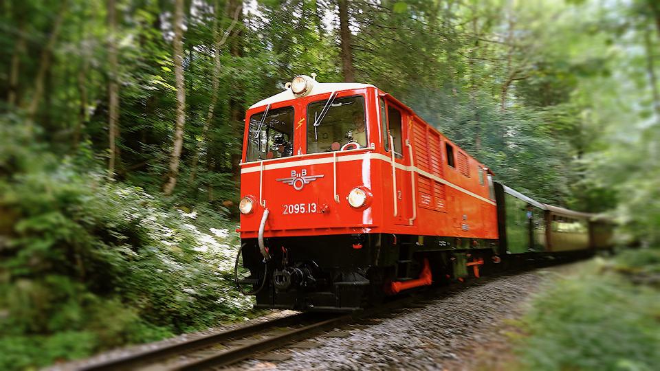 2095.13 durchquert den Wald vorm Vorsäß Stiegeln