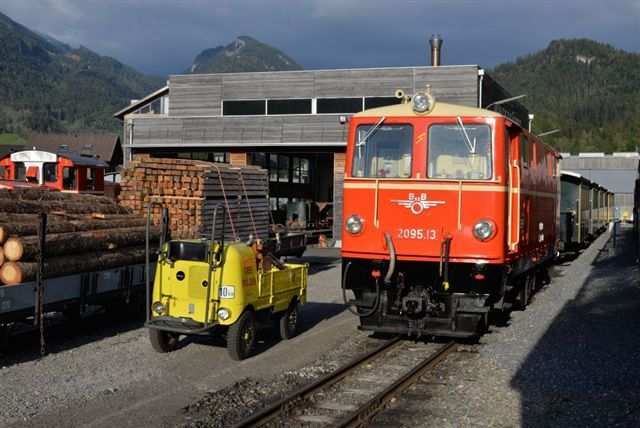 Jenbach Büffel im Bahnhof Bezau